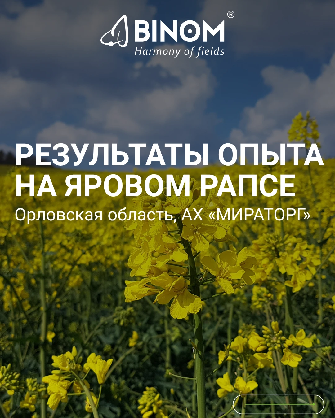 +8% К УРОЖАЙНОСТИ ЯРОВОГО РАПСА