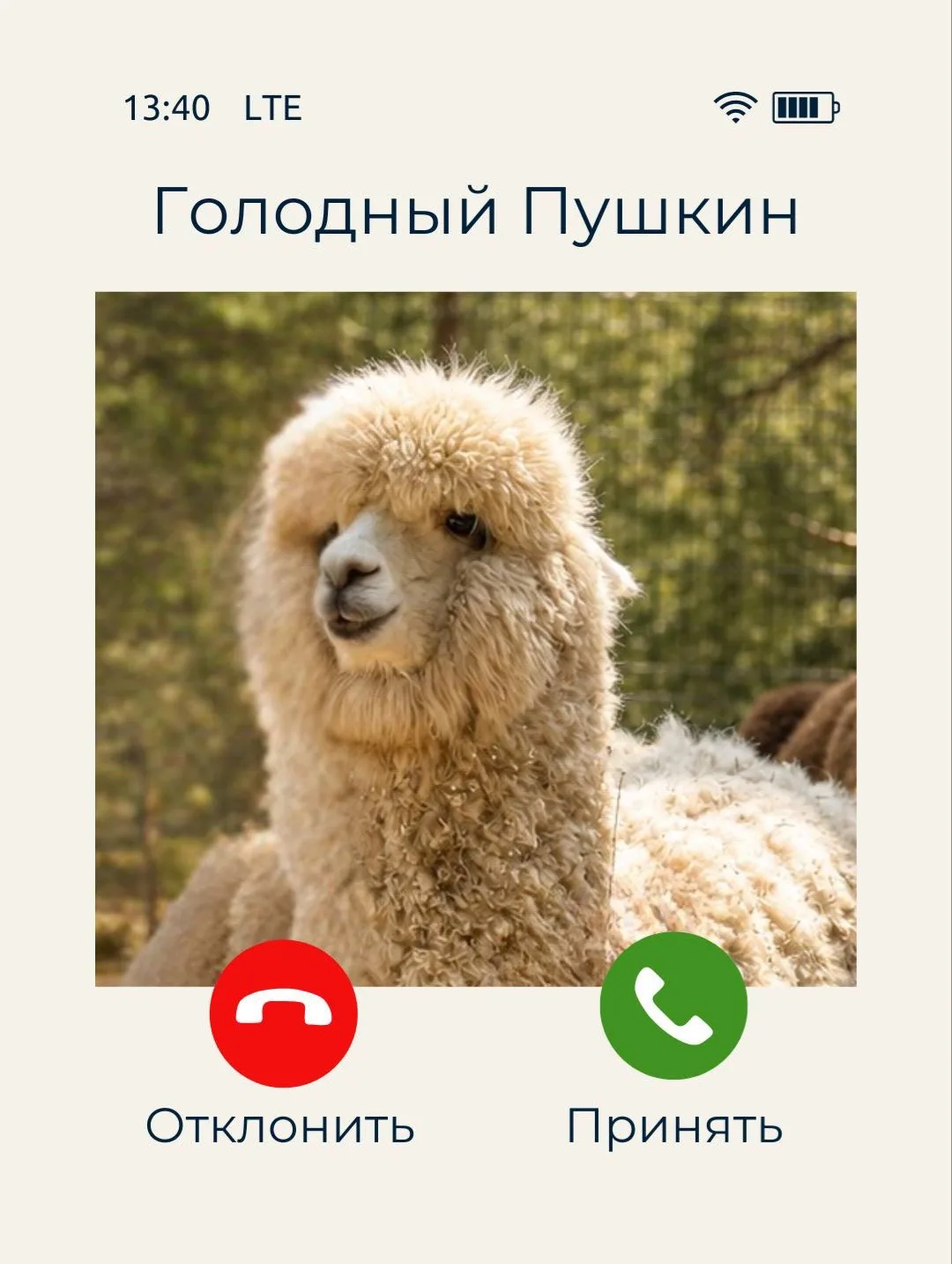 Наши милашки альпаки тонко намекают вам... 

Впереди выходные, а это идеальный повод приехать и пора