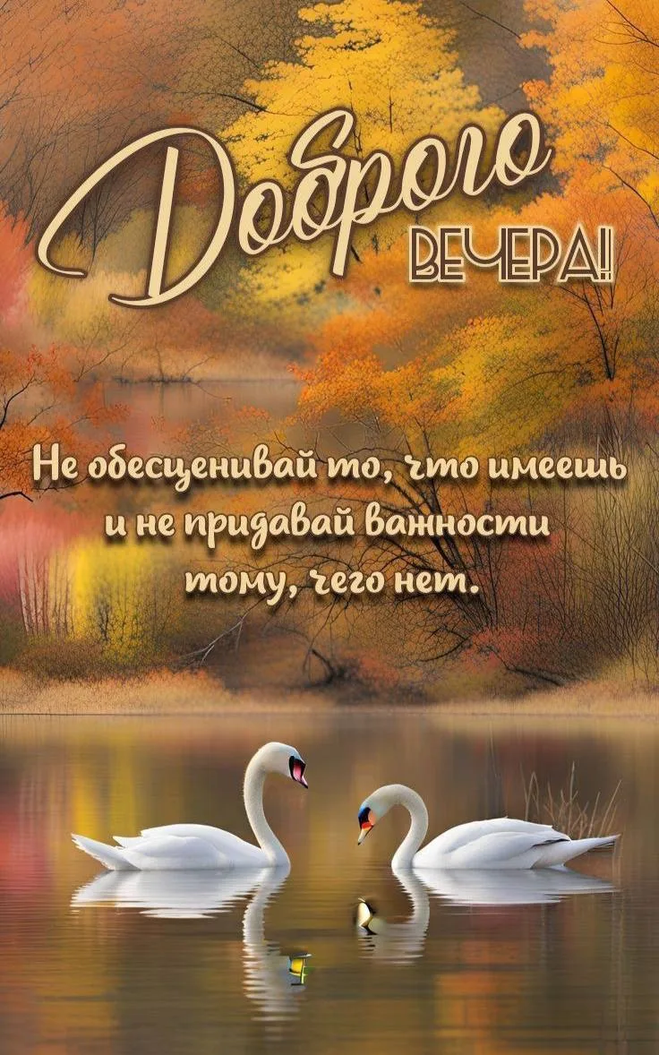 Женские открытки💝