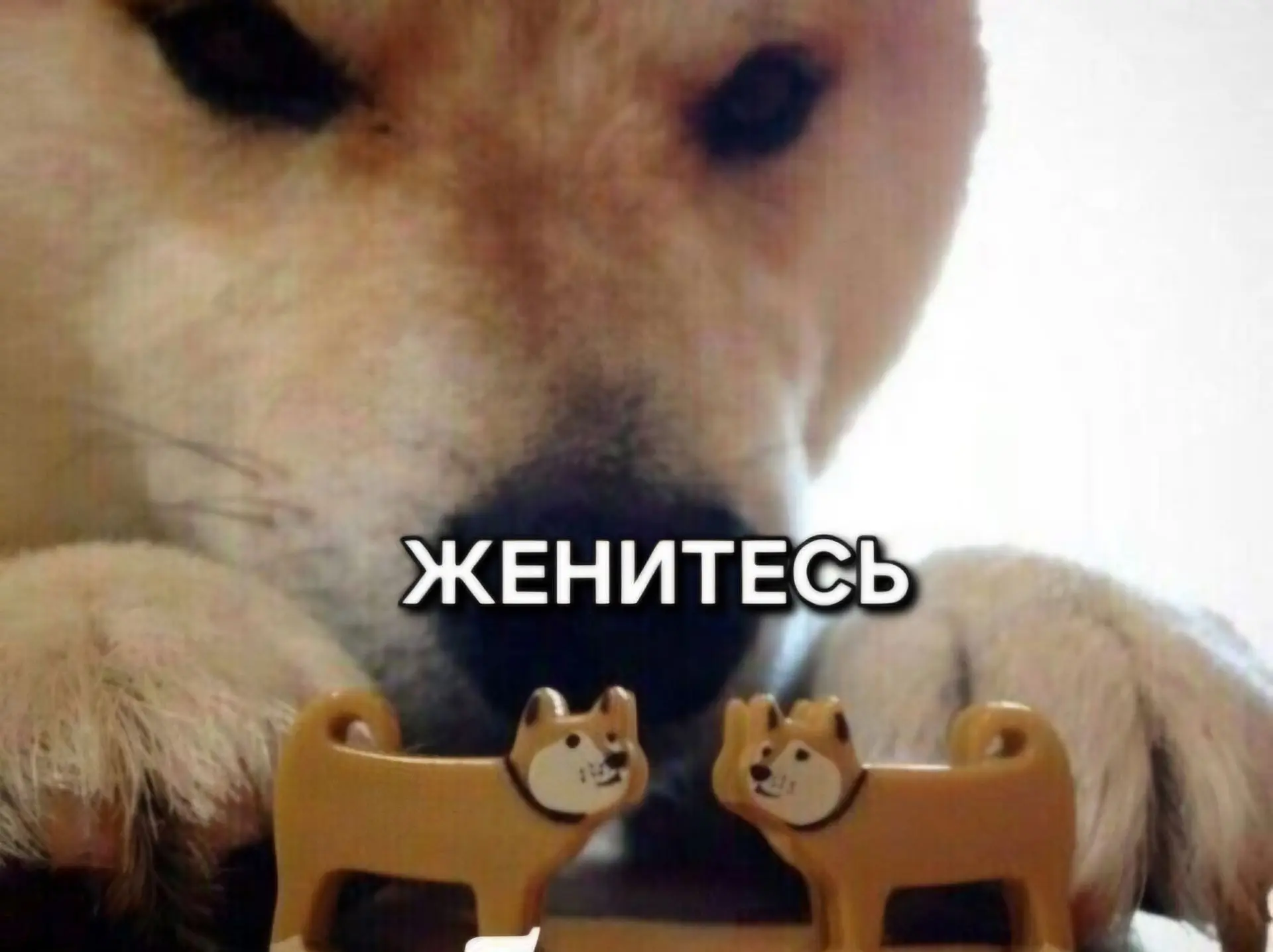 👰🏻‍♀️ Льготные кредиты на свадьбу под 5-7% планируют выдавать в России, — общественники