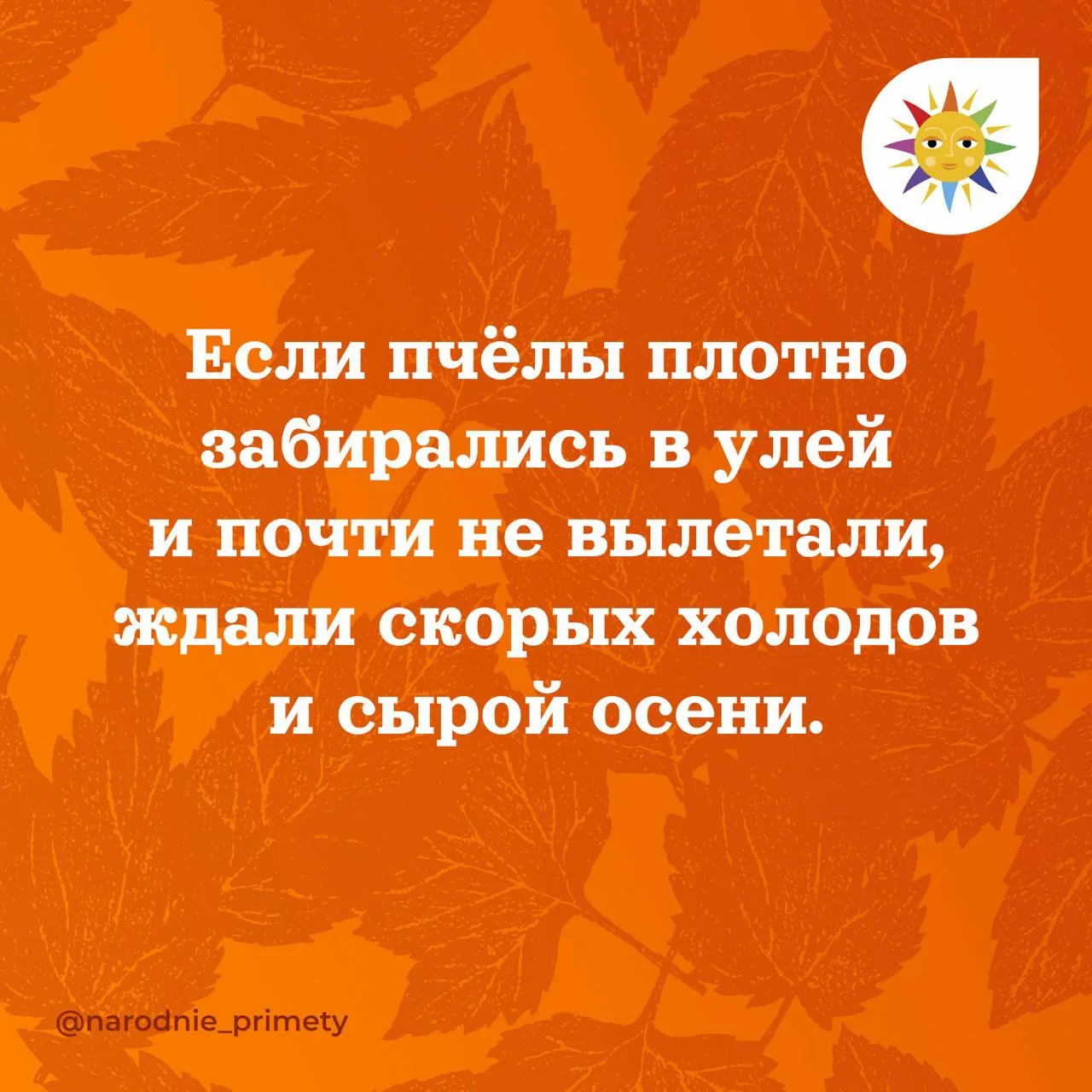 🌞Народные приметы