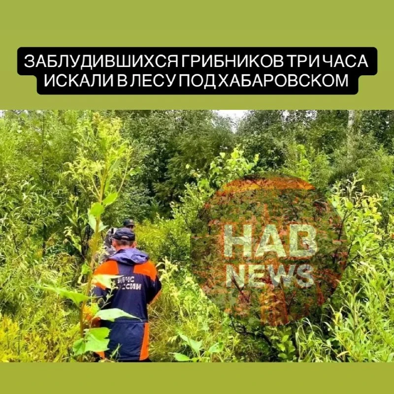 🚒 Под Хабаровском спасатели нашли заблудившихся грибников