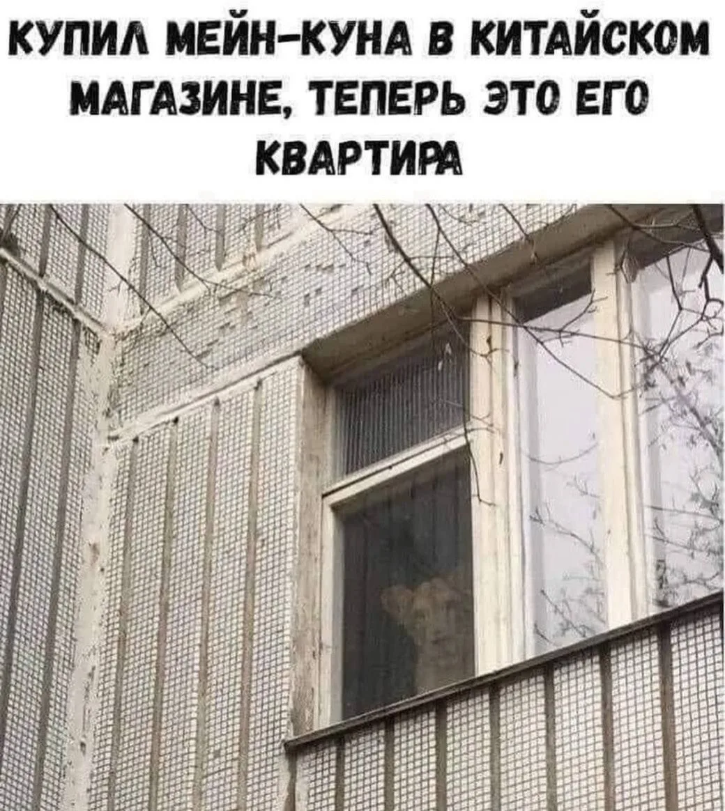 ❗️ЛУЧШИЙ КАТАЛОГ КАНАЛОВ  В MAX ❗️