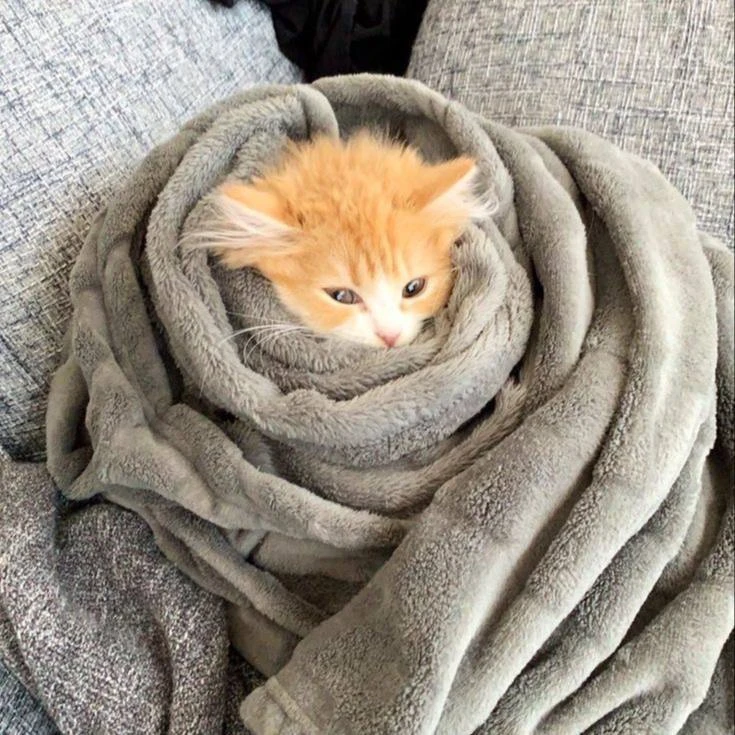 🌡️ Отопление в Петербурге начнут включать с 30 сентября