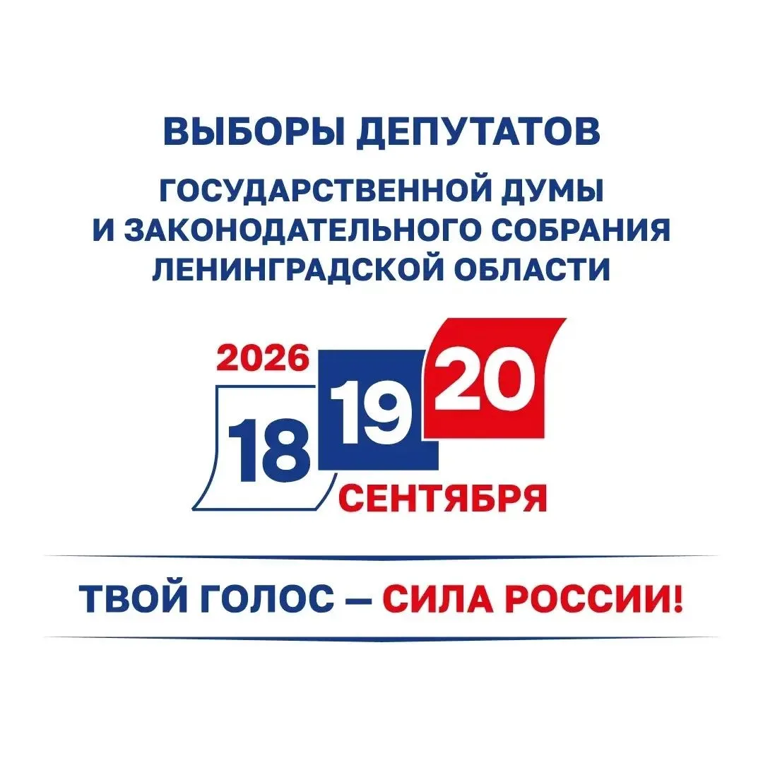 В Ленинградской области началось голосование на выборах-2026
