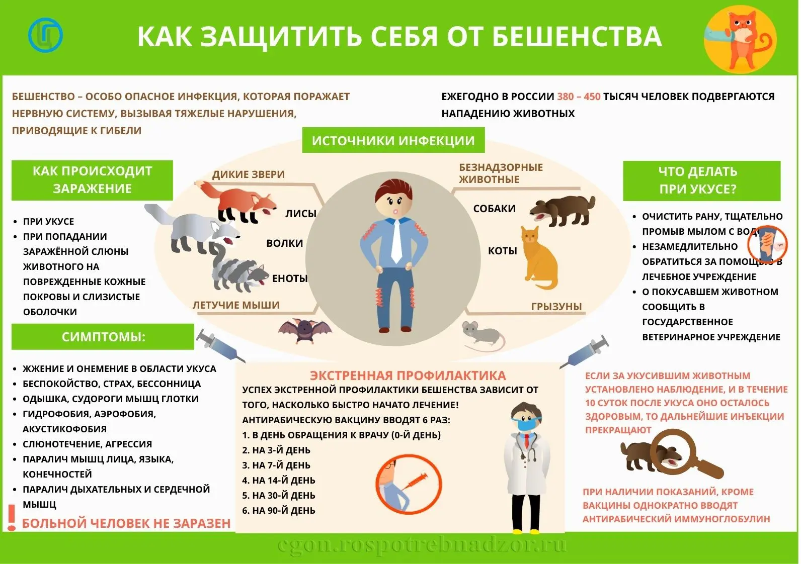 Бешенство-это  особо опасное острое вирусное заболевание с абсолютной летальностью. Лечения, способн