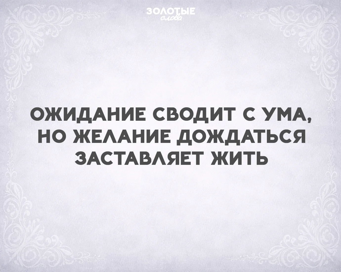 Золотые слова 📜