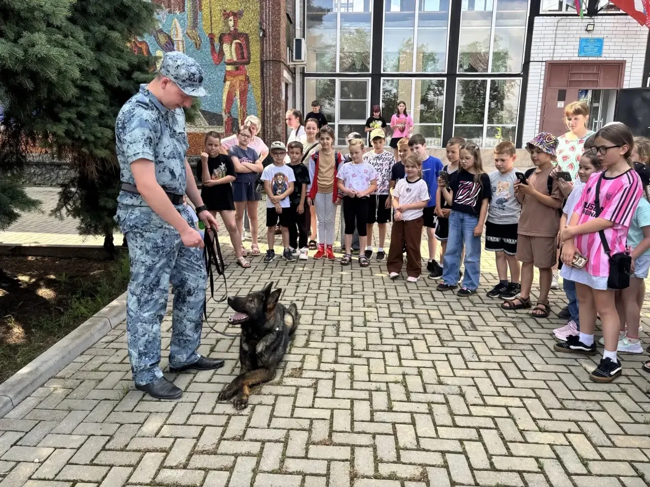 🎉 Каникулы с Общественным советом продолжаются!