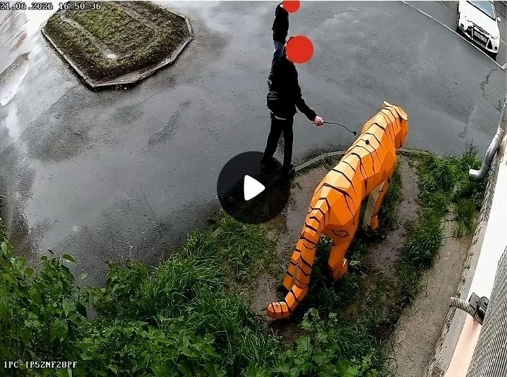 🤨Фигуру тигра осквернили

Полигональная фигура тигра из металла появилась на улице Ленина в конце м