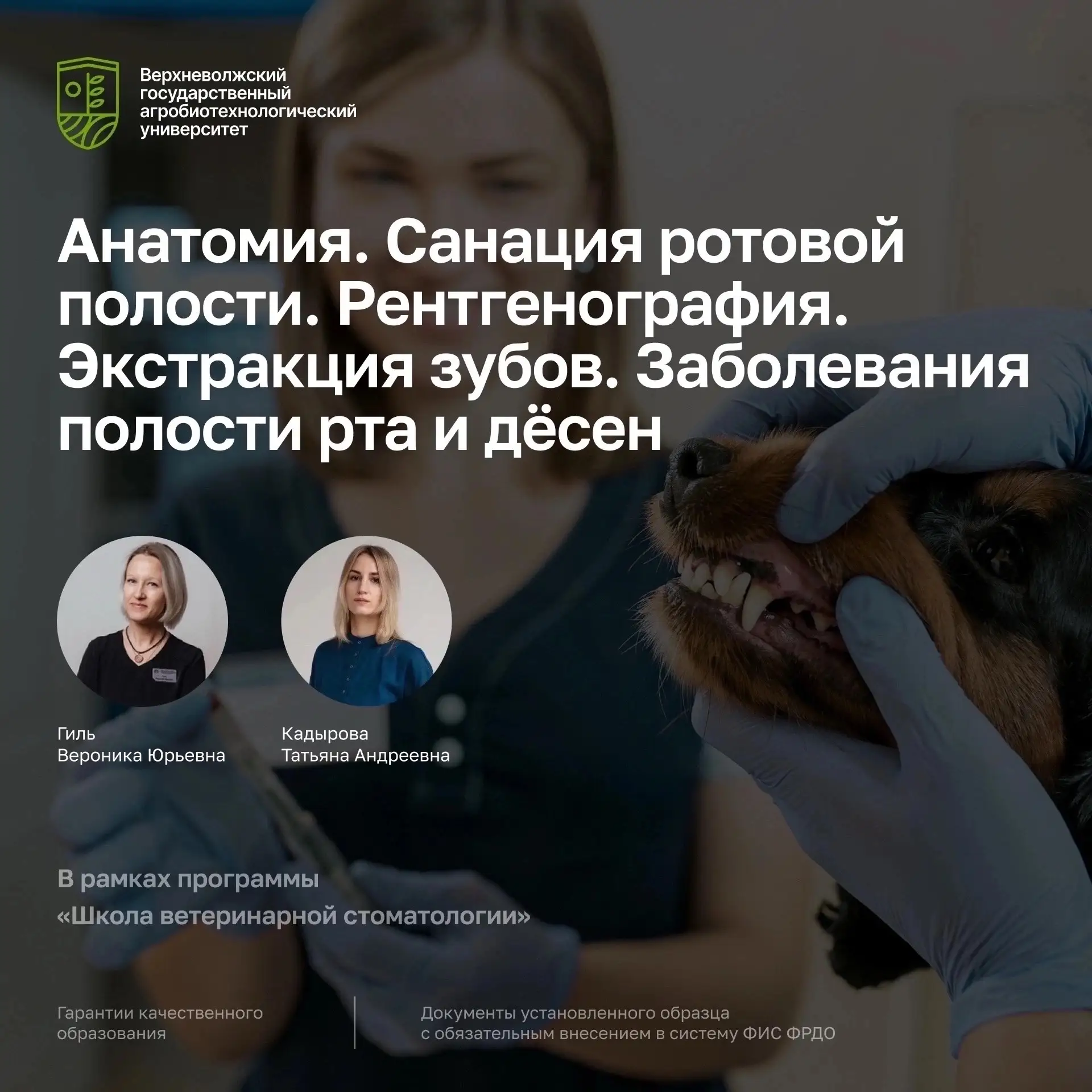 🦷 Станьте экспертом в ветеринарной стоматологии!