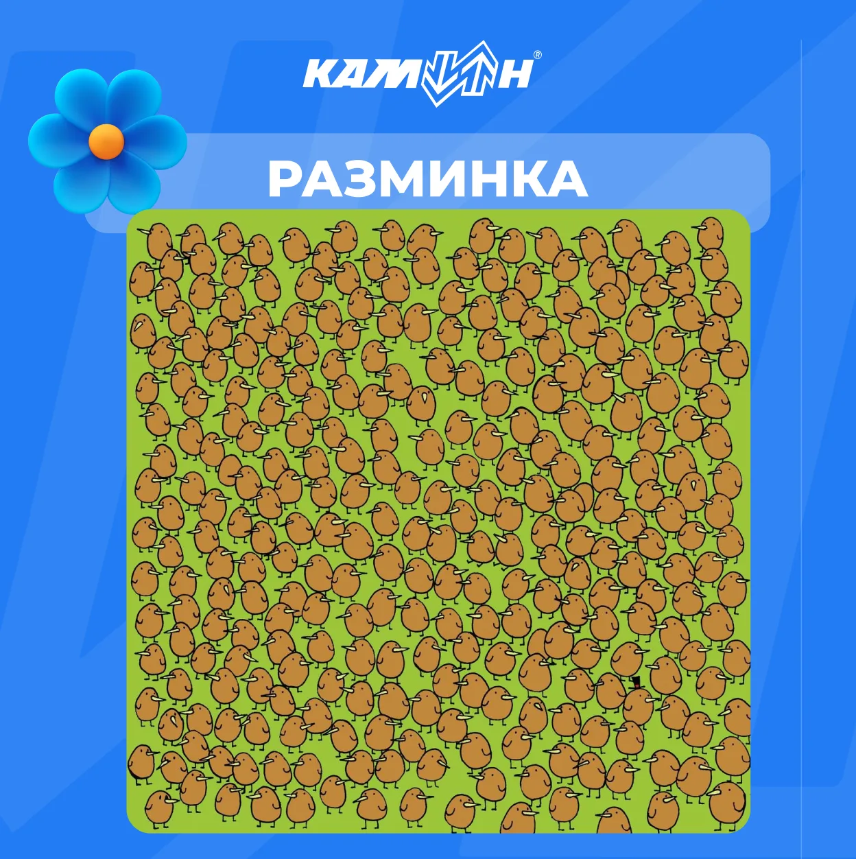 🔎 Разминка для самых внимательных!