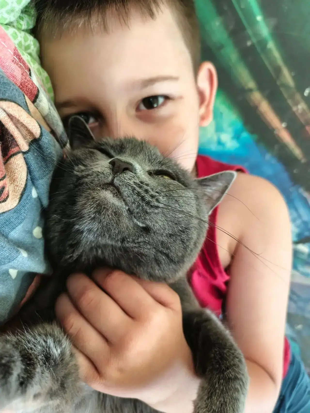 У меня есть любимый кот.
Не просто питомец — член семьи, друг, терапевт и хранитель домашнего уюта.
