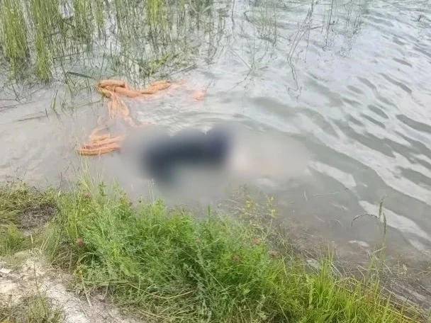 30-летний мужчина утонул во время купания в Увельском округе. 

Сегодня в восьмом часу утра водолазн