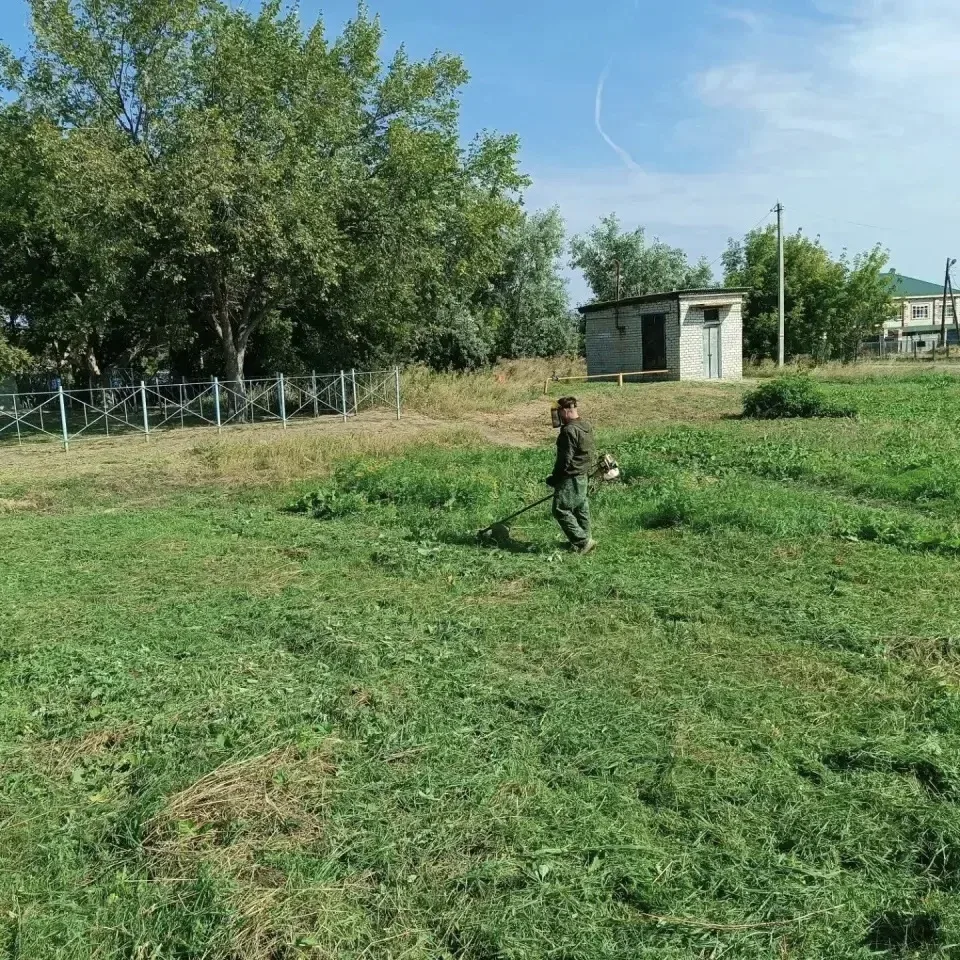 🌳 В Гагаринском районе продолжаются плановые работы по благоустройству