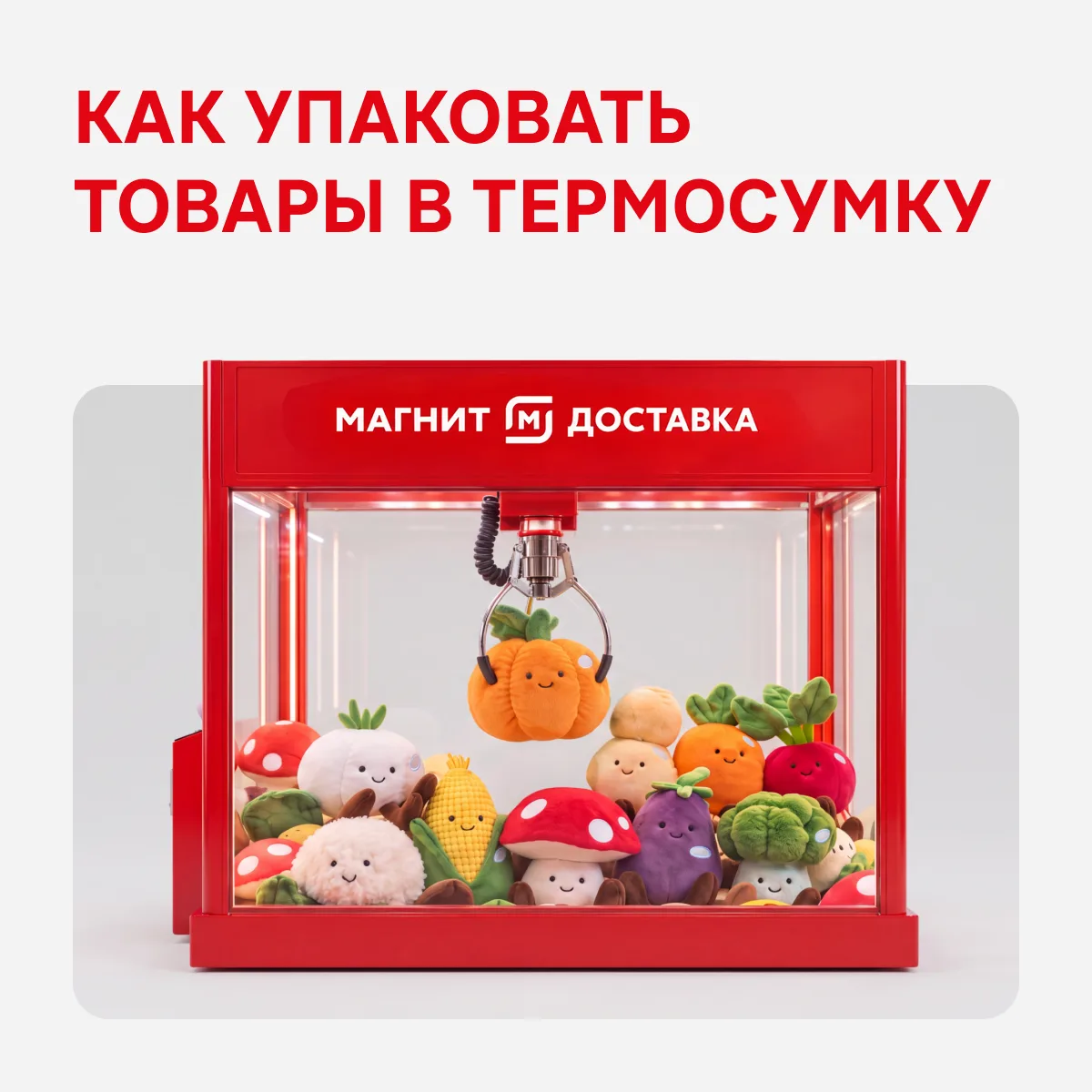 Изображение 1 к публикации «Магнит для курьеров»
