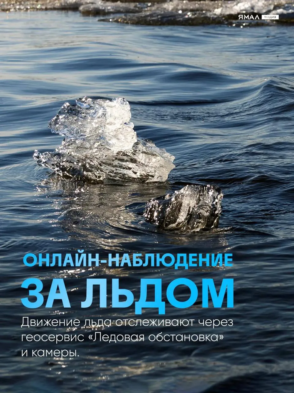 🌊 Явление, которое стоит увидеть хотя бы раз в жизни  У него есть голова и хвост, он движется, мы ег