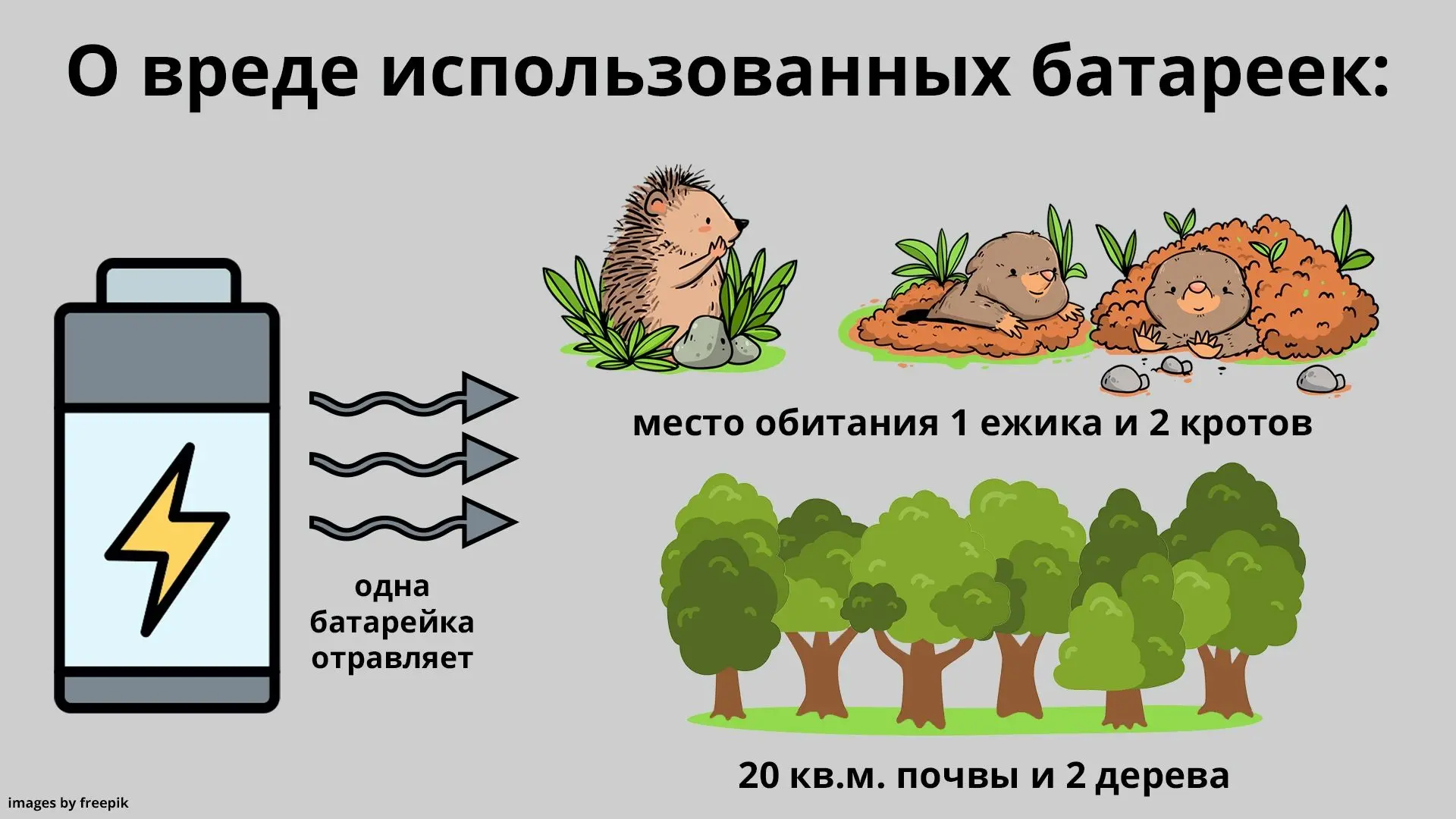С 5 по 11 июня в библиотеке прошла акция «Батарейки, сдавайтесь!», приуроченная ко Дню эколога. Акци