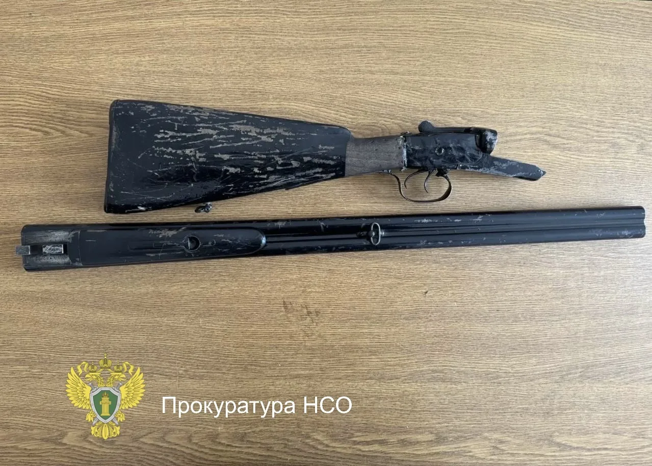 📍В Новосибирской области перед судом предстанет мужчина за незаконный сбыт оружия  Заместитель проку