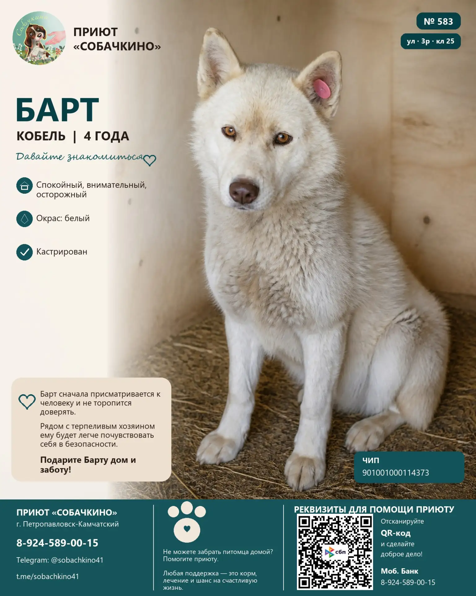 Барт ищет дом. ❤️
