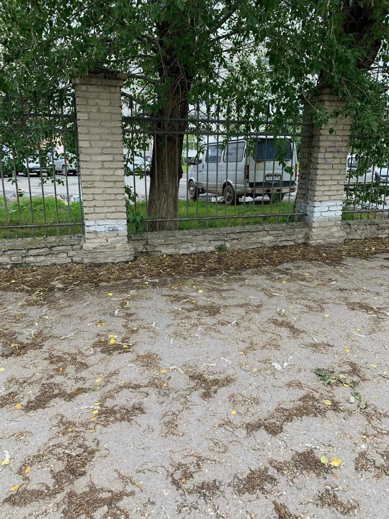 🧹 На Беляева, 6 жители жалуются на качество уборки улицы

Уборочная техника не может полноценно про