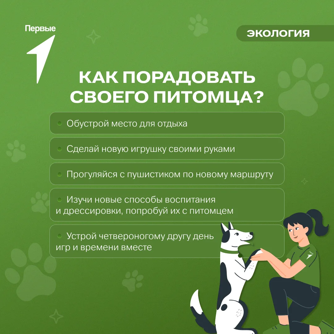 🐈 Сделай жизнь своего питомца счастливее!

Смотри идеи Движения Первых, которые точно поднимут наст