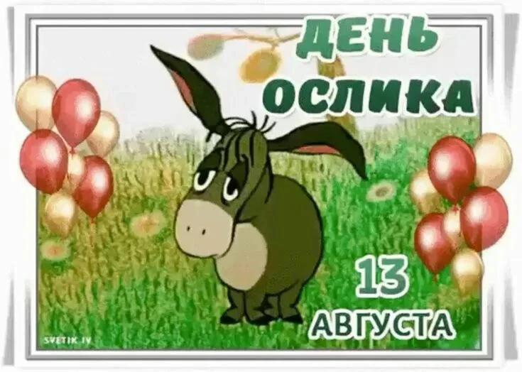 13 августа - День ослика🫏