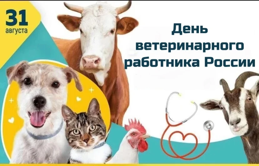 📆 31 августа 2026 года