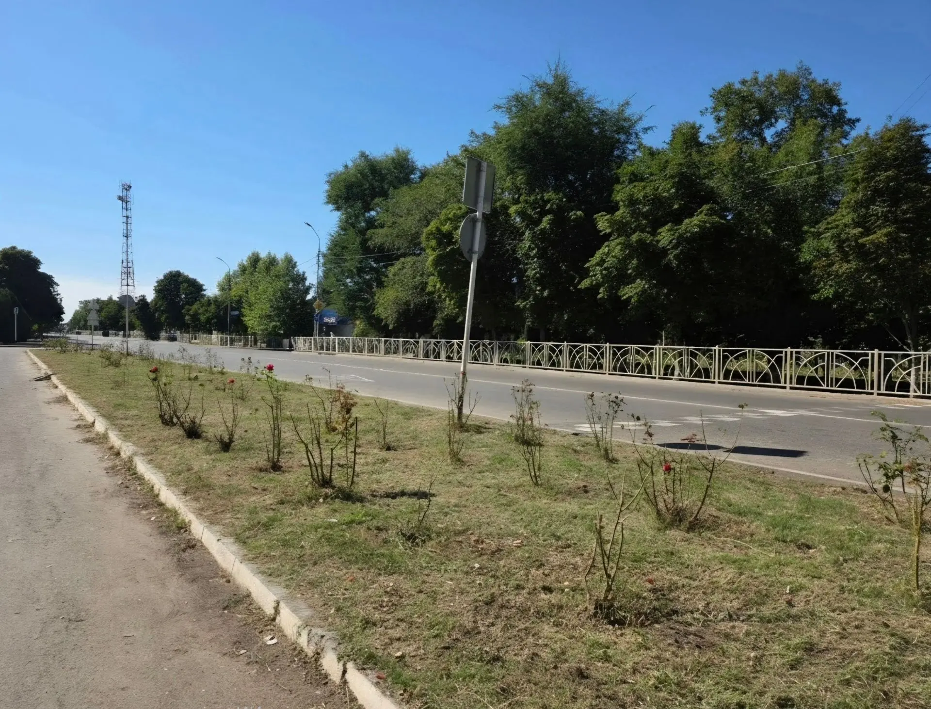 Сотрудники территориального управления провели субботник на