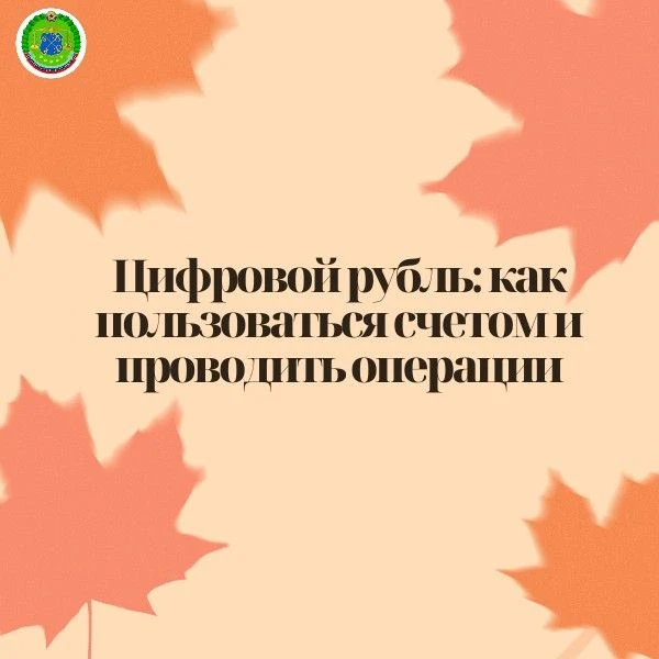 Цифровой рубль: как пользоваться счетом и проводить операции❓