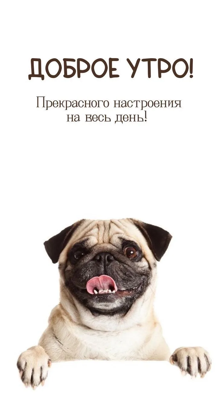 ☀️Отличной и продуктивной недели!