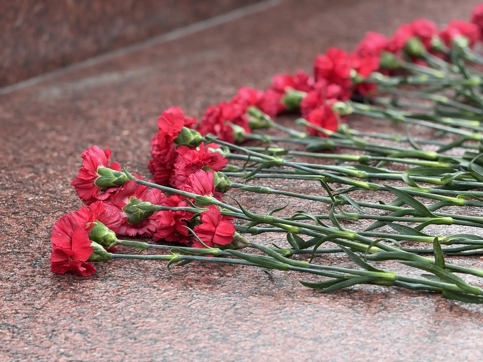 ВОЗЛОЖЕНИЕ ЦВЕТОВ 🌹🙏🏼   Учащиеся 9«Б» класса в составе Федерации Бокса, вместе с депутатом VIII созы