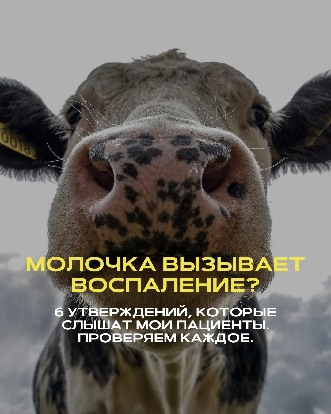 Пациенты приходят с убеждением, что молочка — источник воспаления, слизи и прыщей.