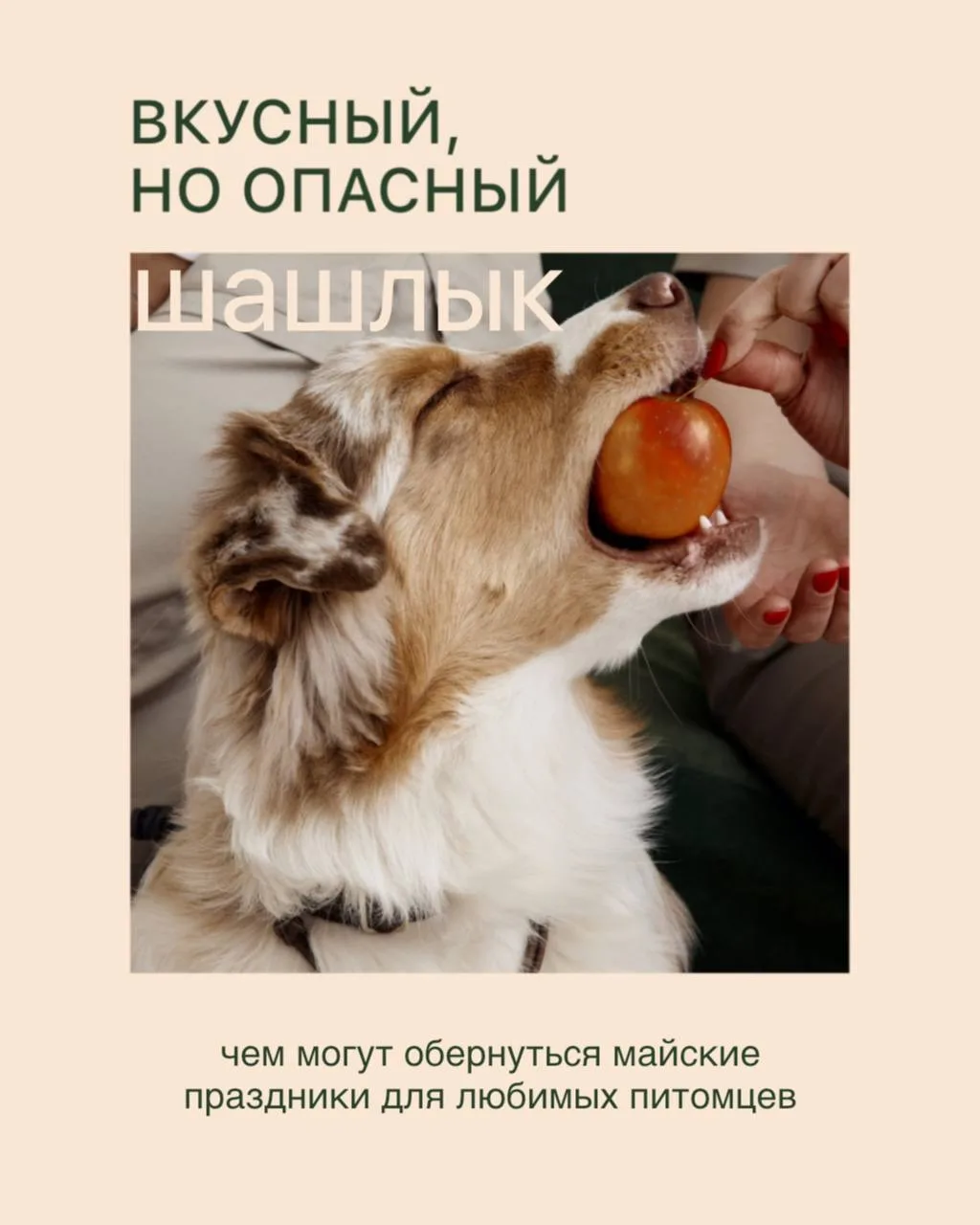 Майские праздники — это отдых на природе, дым от мангала и аромат мяса. И почти всегда ...