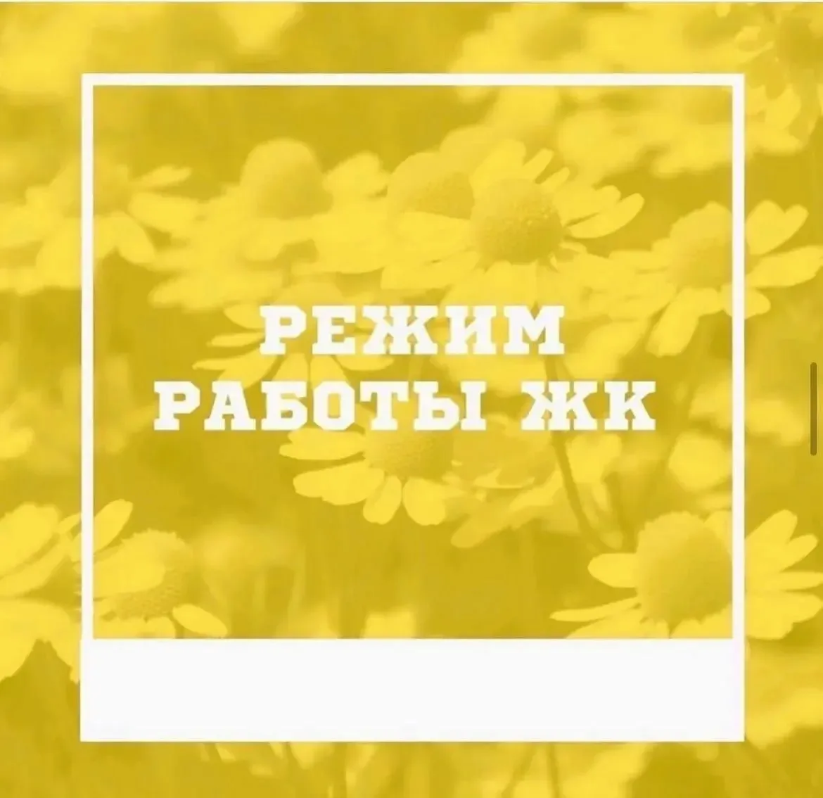 Уважаемые пациенты!❤️
 
РАСПИСАНИЕ работы женской консультации в праздничные дни.

1️⃣1️⃣ июня - раб