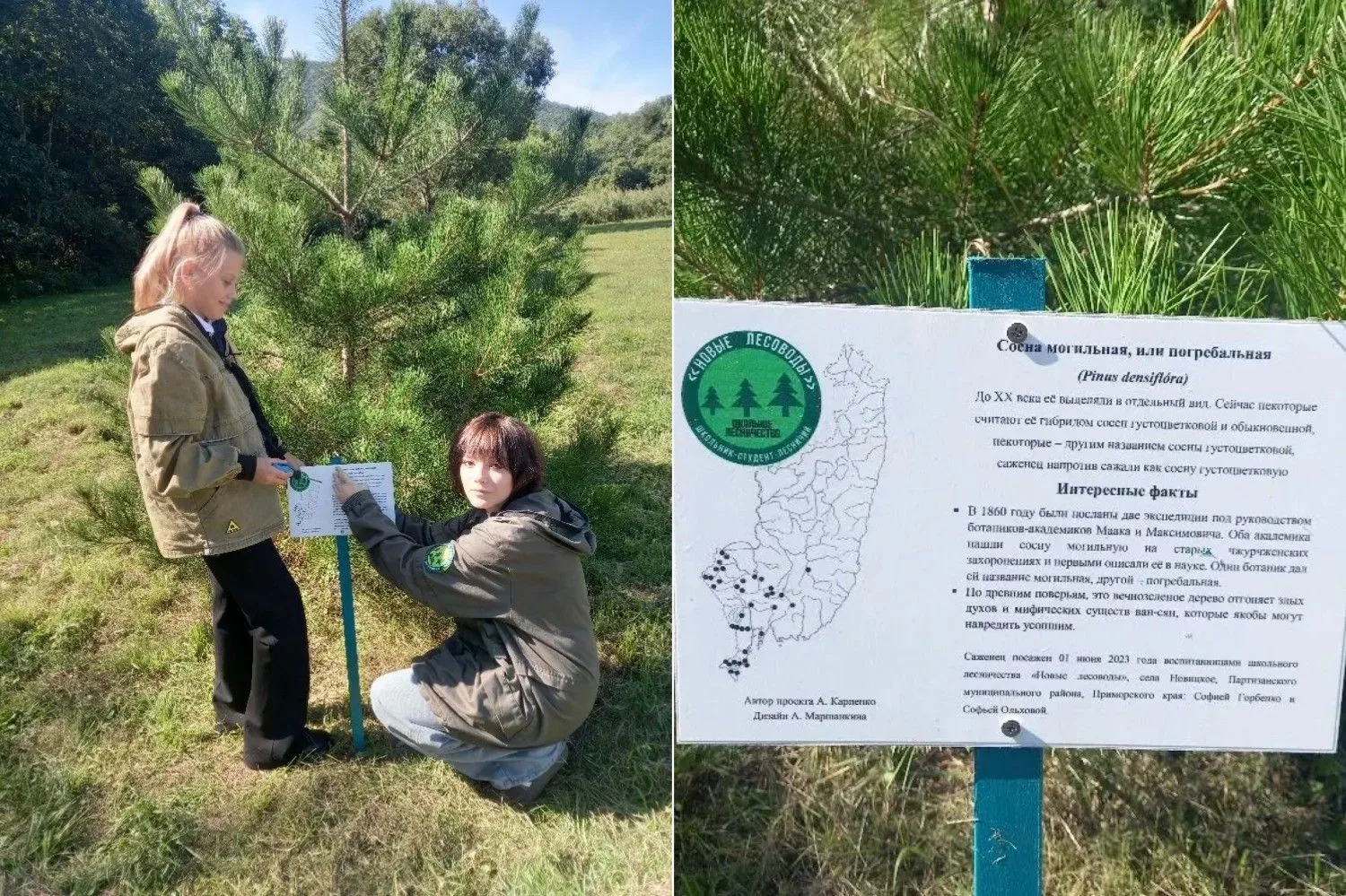 Краснокнижные растения теперь и с легендами! 🌿