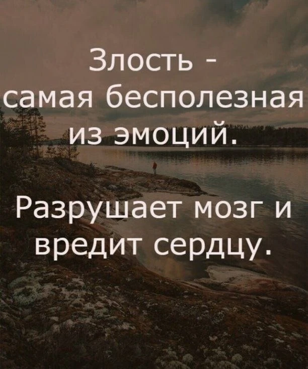 +1 умная мысль  - мотивация, цитаты, бизнeс.