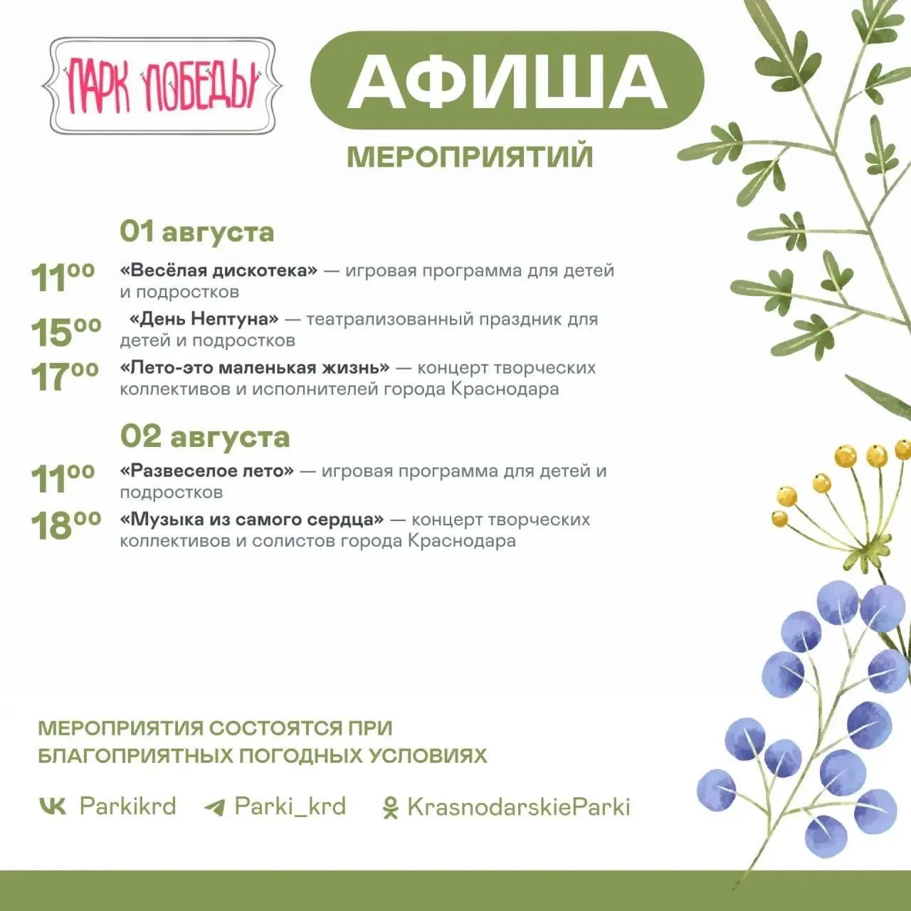 Медиа публикации