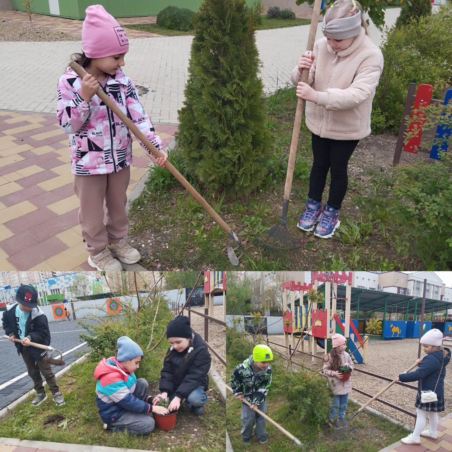 🌼 Продолжаем акцию «Посади цветок - укрась планету»! 🌼