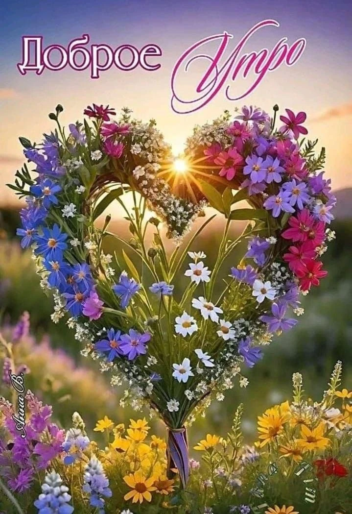 🌿🔶❤️💜🌿🔶❤️💜🌿❤️💜

С добрым утром! 
Будет день прекрасным!
Солнце — теплым, ну, а небо — ясным.