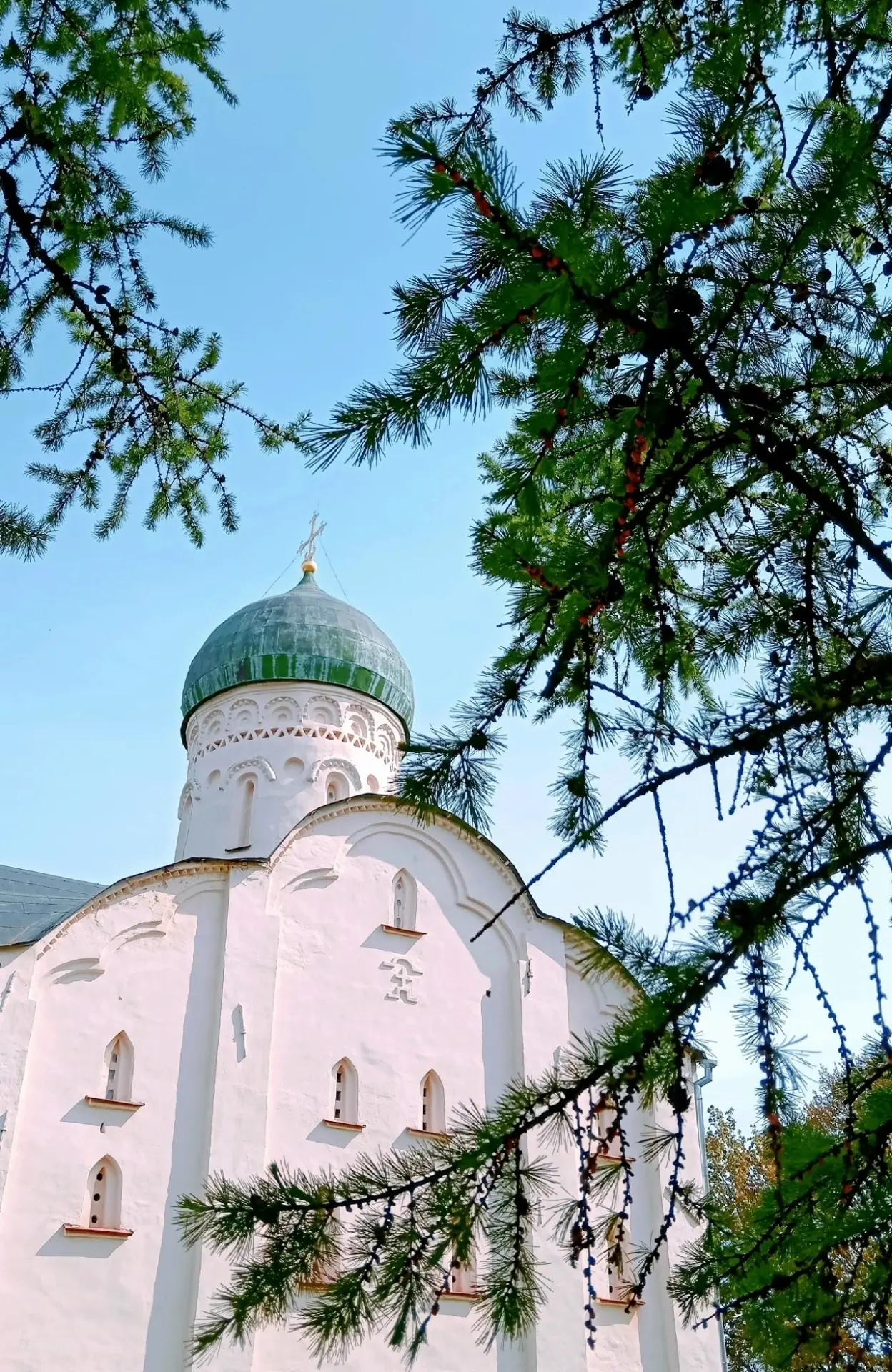 НОВГОРОДСКИЙ МУЗЕЙ - ЗАПОВЕДНИК
