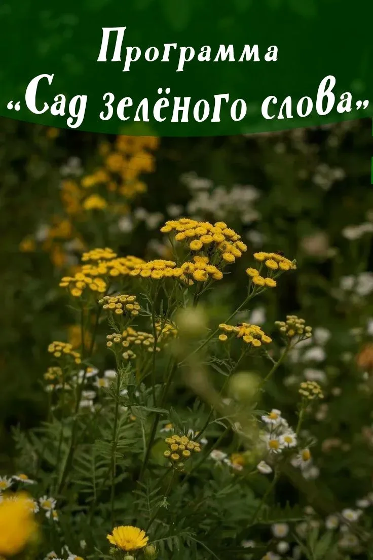Программа «Сад зелёного слова»
