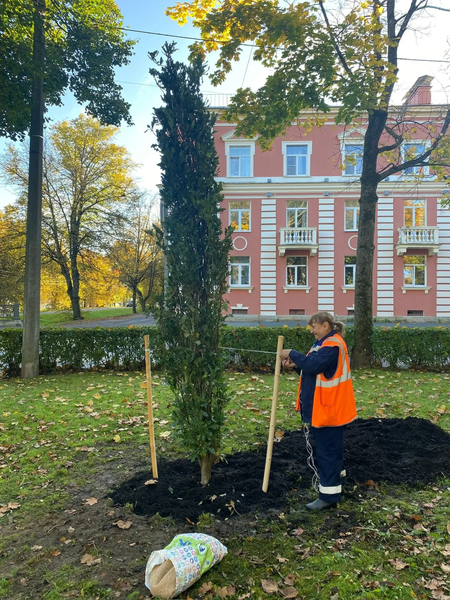 Озеленение города — ключевой приоритет для садово‑парковых предприятий Петербурга