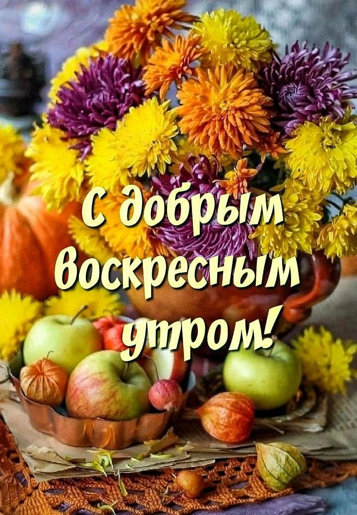Доброго воскресного утра, друзья! Ярких красок, солнечного настроения, мира и добра!