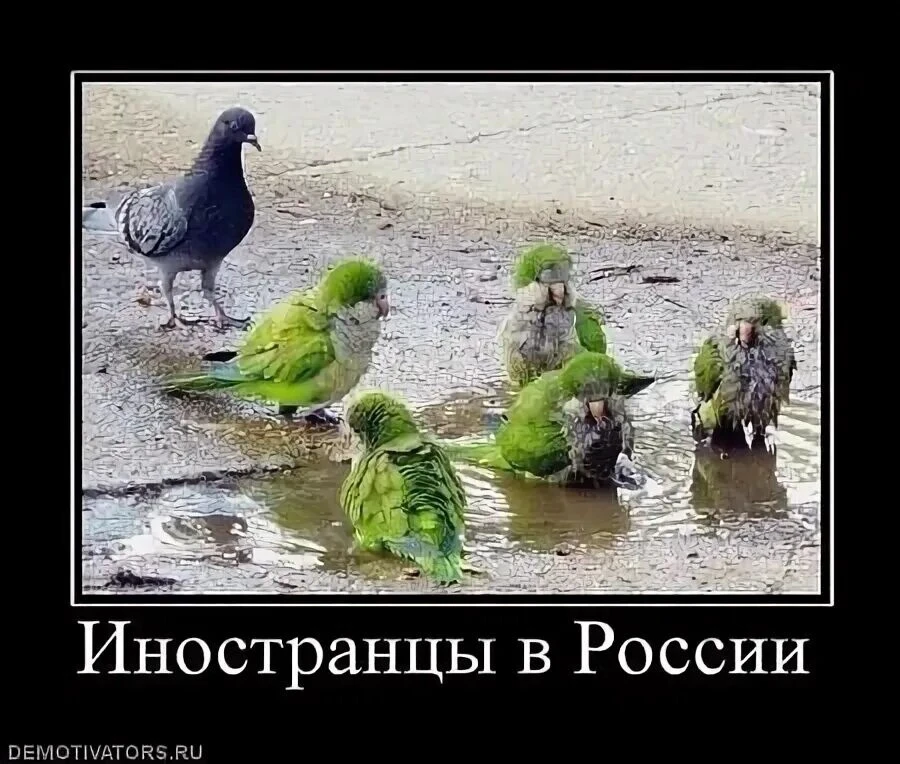 Подпишись на юмор 😂