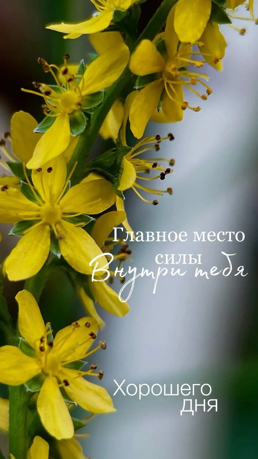 Изображение 1 к публикации «СВОБОДНЫЙ || Читатель»