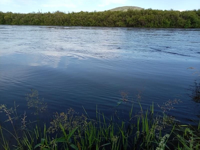 ⚠В Забайкалье подтопило поймы девяти рек, уровень воды на Аргуни превысил отметки⚠

🔻На большинстве