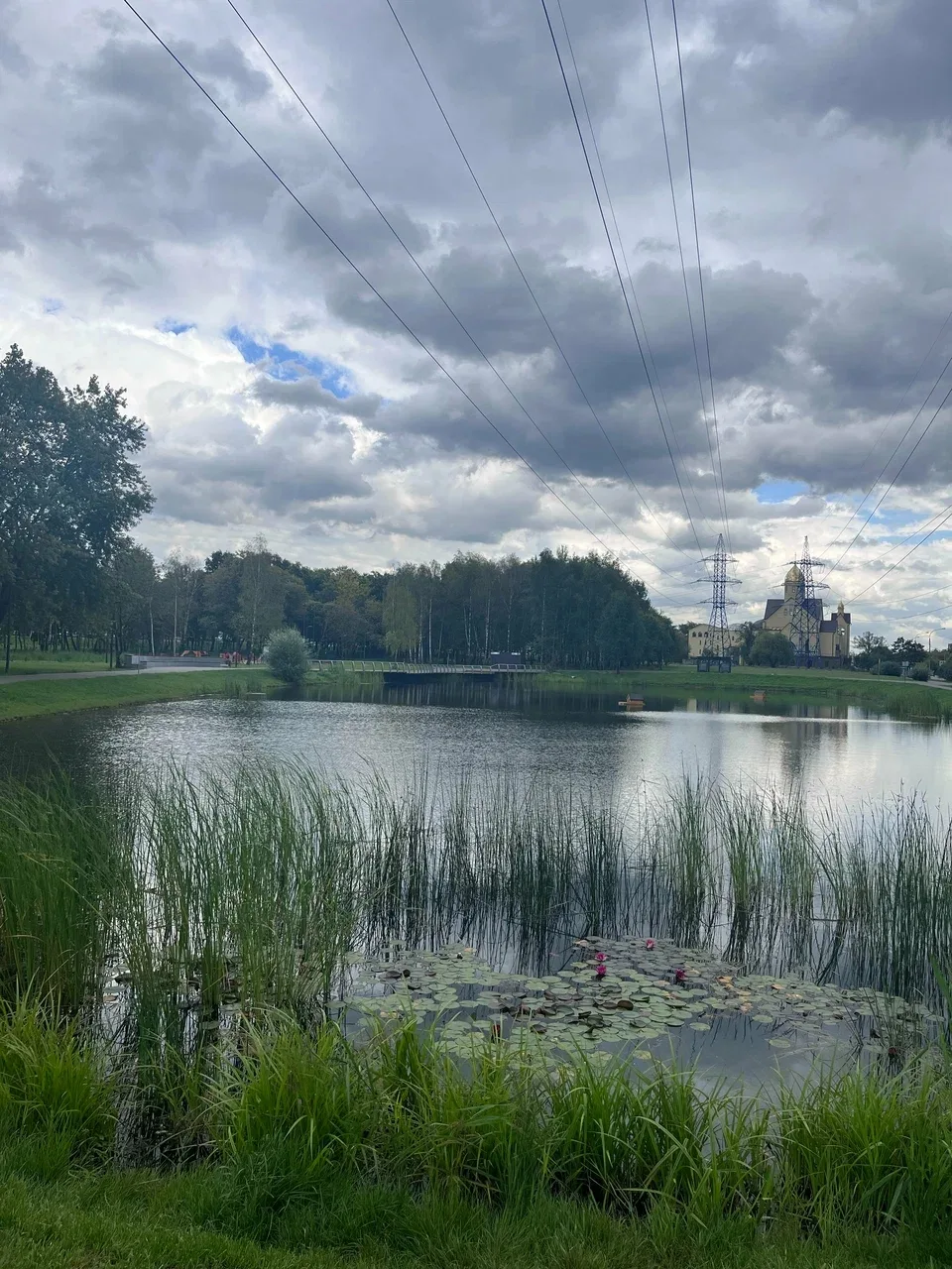 Хмурое летнее утро на Красноярском пруду 🌿
