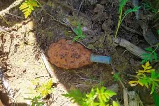 ❗В Северском районе при выпасе овец нашли гранату времен войны

🐑В окрестностях ст. Калужской местн