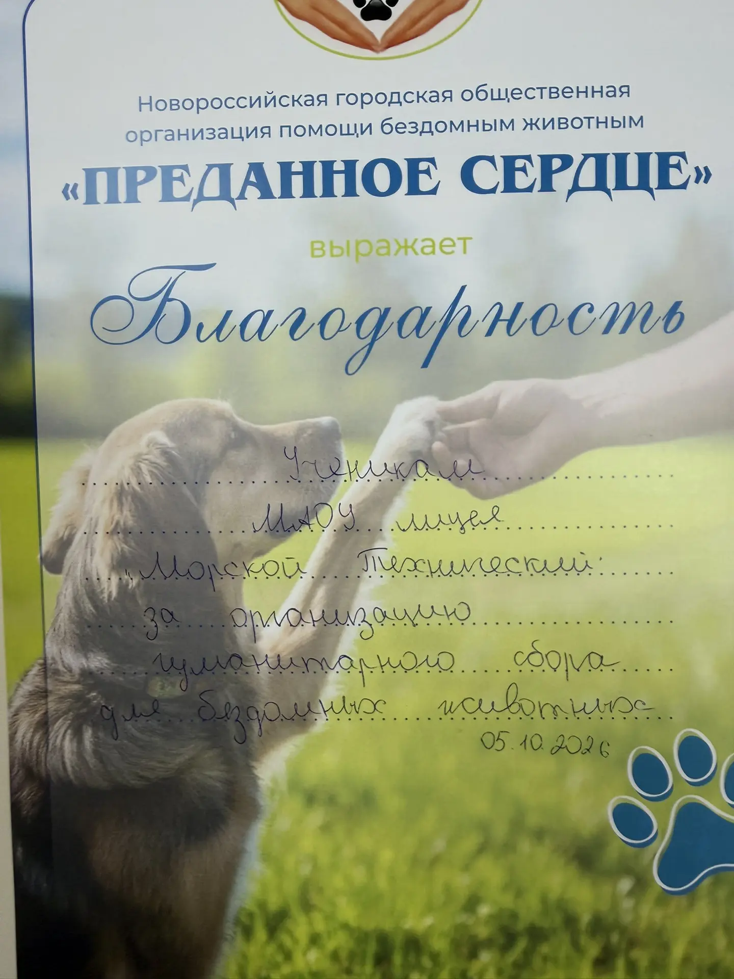 Сегодня, 5 октября, мы передали приюту «Преданное сердце» всё самое необходимое: