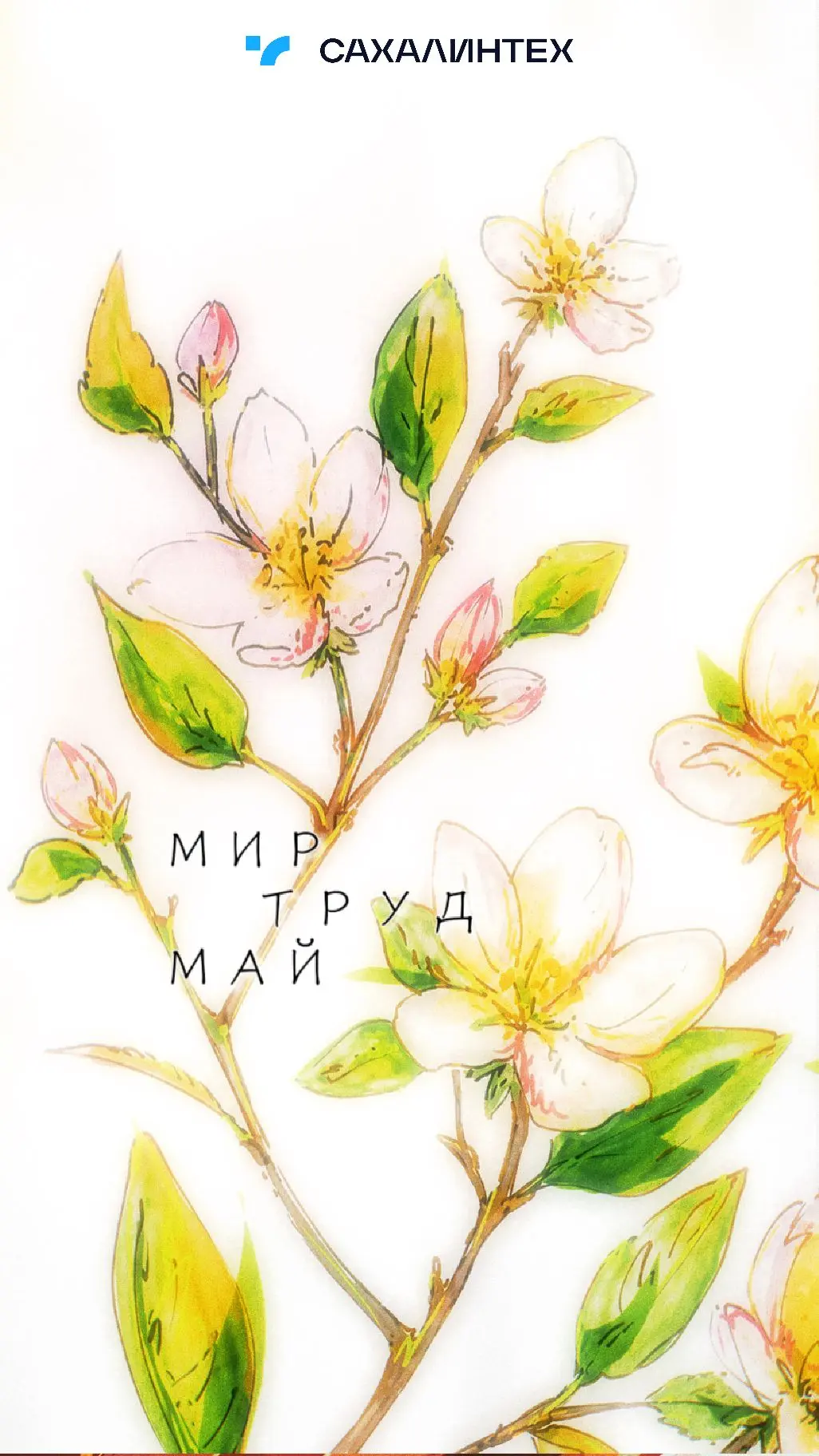 🌿 Май – время памяти, труда и свежих обоев на телефон  Наши ребята из студенческого медиацентра «Про